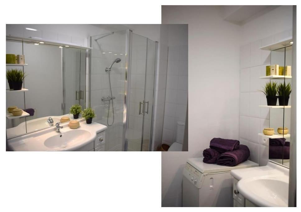 Appartement Avec Acces Piscine Et Jardin Dans Hotel Particulier Nérac Dış mekan fotoğraf